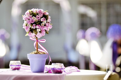 ڕrgƽoښqȥ (3)