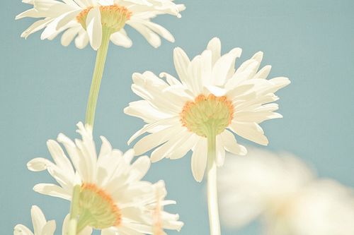 ڕrgƽoښqȥ (7)