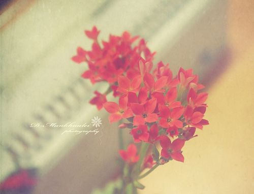 ж扦߀һꖹ (9)