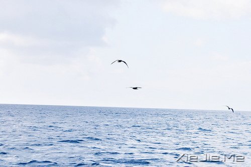 Zԏ(qing)ꖹ (1)