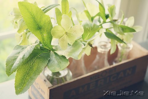 Zԏ(qing)ꖹ (5)