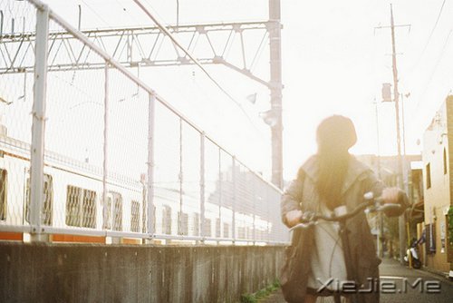 ]^ȥ飬ֻ^ȥ (3)