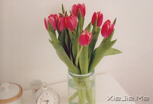ҪZZֻ󰲰 (1)