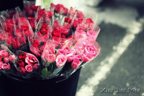 ҪZZֻ󰲰 (2)