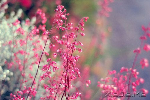 ҪGwҪݔ?sh)Լ?(2)