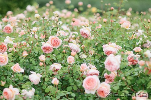 xԏጿ (2)