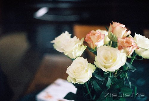 xԏጿ (4)
