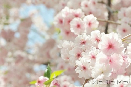 xԏጿ (5)