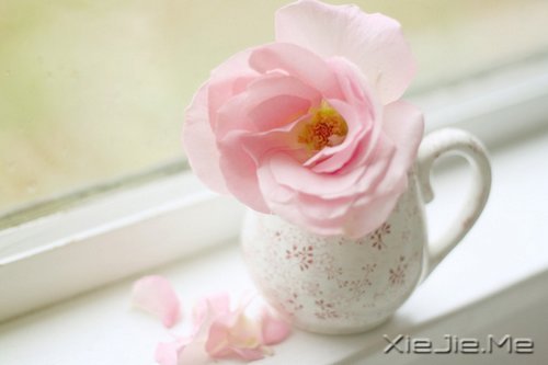 xԏጿ (6)