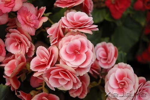 xԏጿ (7)