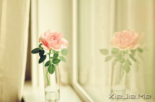 xԏጿ (9)