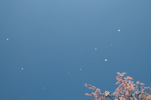 ƽco`һN (9)