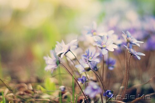 挍Լõ (2)
