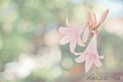 ˽һ (3)