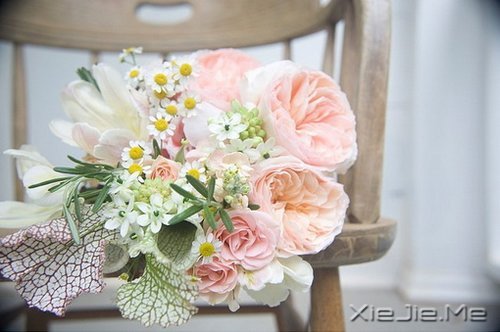 жԓж(jin)(qing) (5)