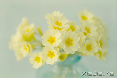 жԓж(jin)(qing) (6)