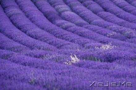 Ҫe룬Լ (1)