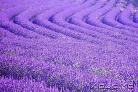 Ҫe룬Լ (9)