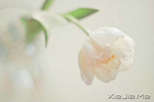 жᣬԓж(jin)(qing) (2)