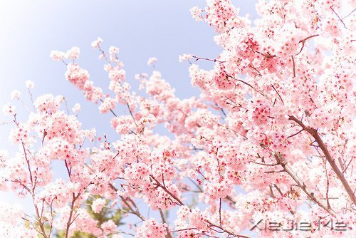 жԓж(jin)(qing) (3)