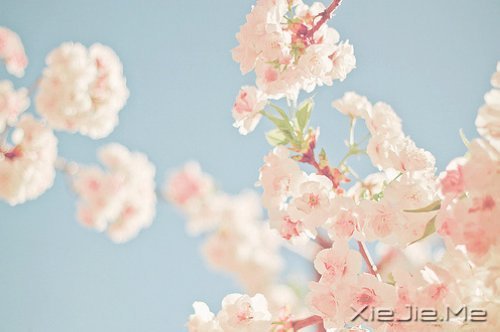 жԓж(jin)(qing) (8)