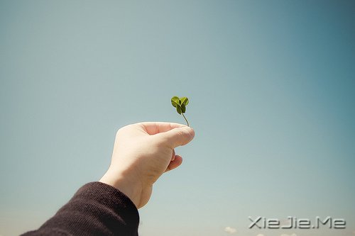 ԽŬԽ\(yn) (4)