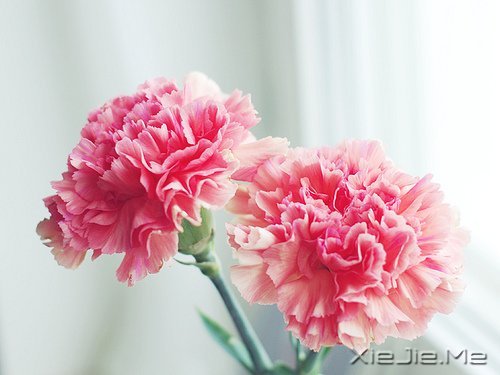 ·^ഺһӣӛR\һ݅ (1)