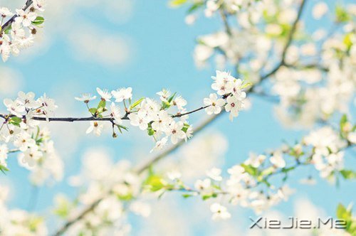 ·^ഺһӛR\һ݅ (2)