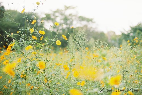 ·^ഺһӛR\һ݅ (3)