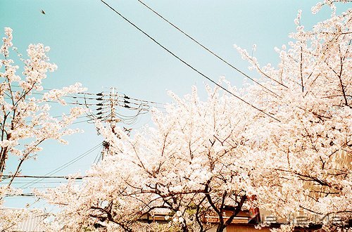 ·^ഺһӛR\һ݅ (7)