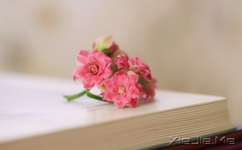 Л](dng)ȻֻĸԸ (4)