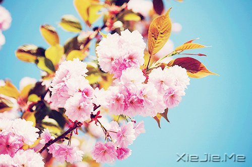 ֻҪ(ni)Ĳyͺy׃ʲô (1)