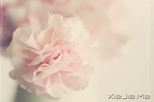 ;^(gu)֪\ (2)
