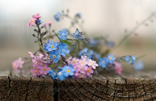 ;^(gu)֪\ (4)