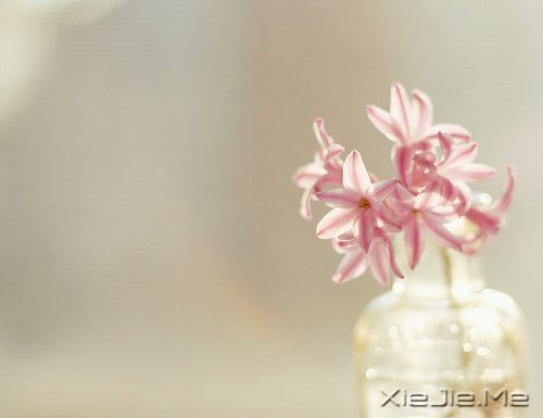 ;^(gu)֪\ (5)