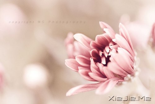 ;^(gu)֪\ (6)