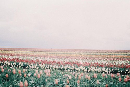ڴһ(g)ľxrõӛ (6)