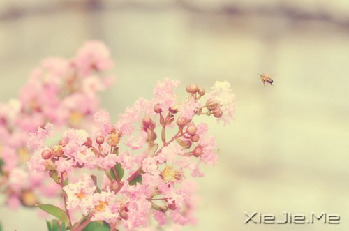 Ҫe˵_ӡԼ· (1)