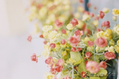 簲Z\\ (7)
