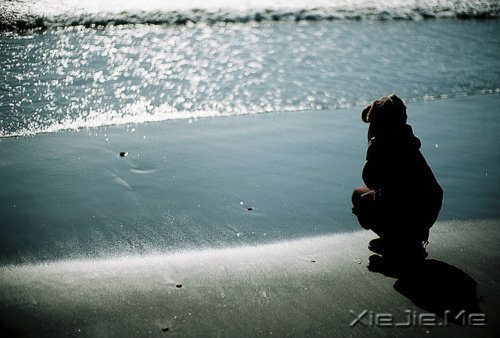 y^r(sh)һVԼ (3)