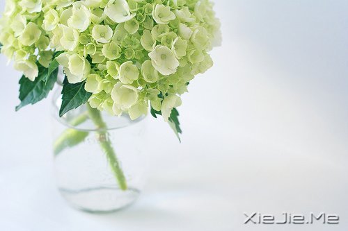 Ըĕr(sh)Ҋõ (6)