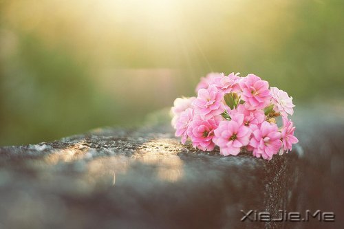 簲Z҂ڄe˵ĹԼۜI (5)