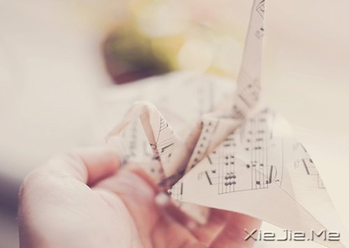 õĿڲ(jng)gF(xin) (10)