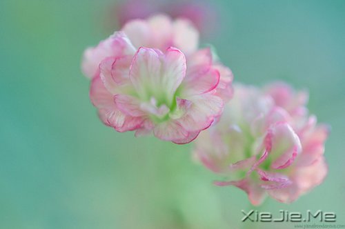 (jng)^Ļěܵ_(ni)ĵķA (2)