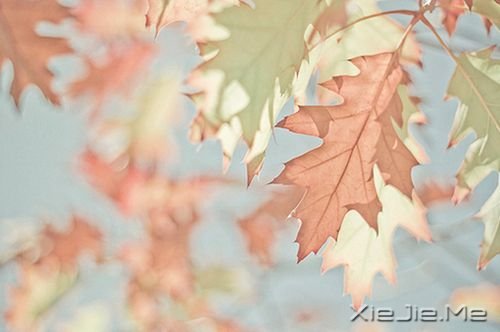 簲Zһ峺İ_ˮĄ (10)