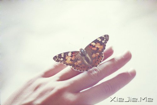 簲ZҸһọ́һ(g)Kc(din) (2)