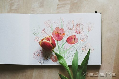 簲ZoҲǏ(qing) (5)