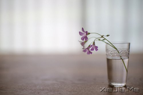 簲ZoҲǏ(qing) (6)