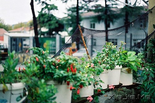 簲ZoҲǏ(qing) (7)