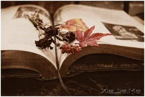 ~Z옷Ϳ옷^ (8)